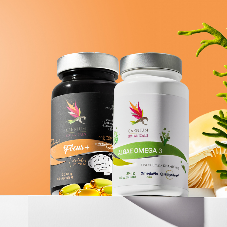 Paquete Salud Cerebral: Algae Omega 3 + Focus+ -10%