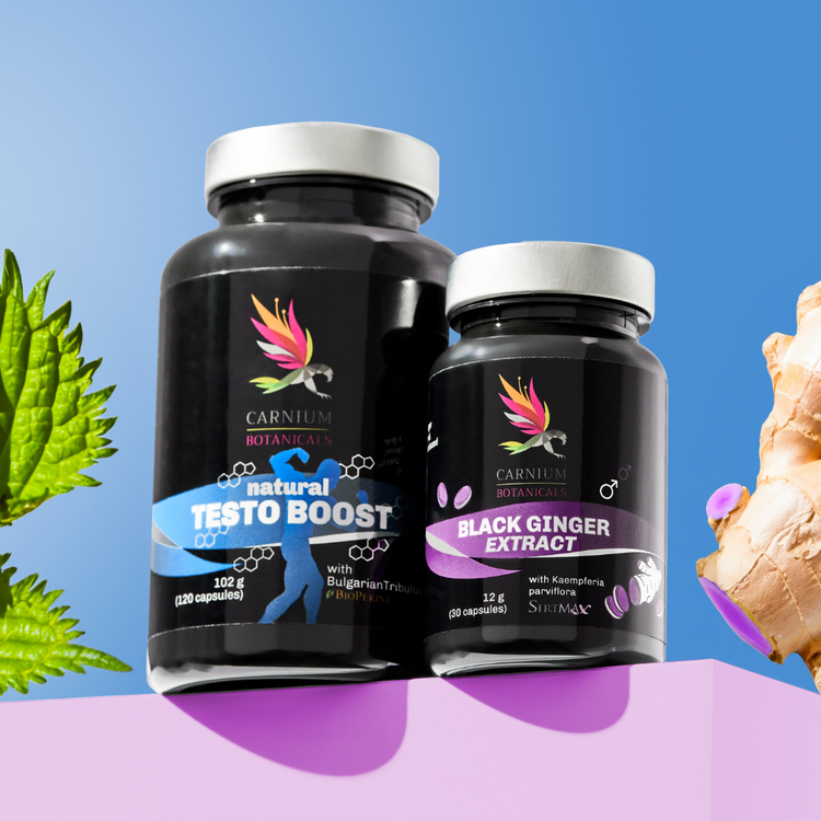 Paquete Hombre Fuerte y Resiliente: Testo Boost + Black Ginger -10%